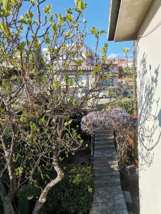 Guest House Sunce Нови-Винодолски Экстерьер фото
