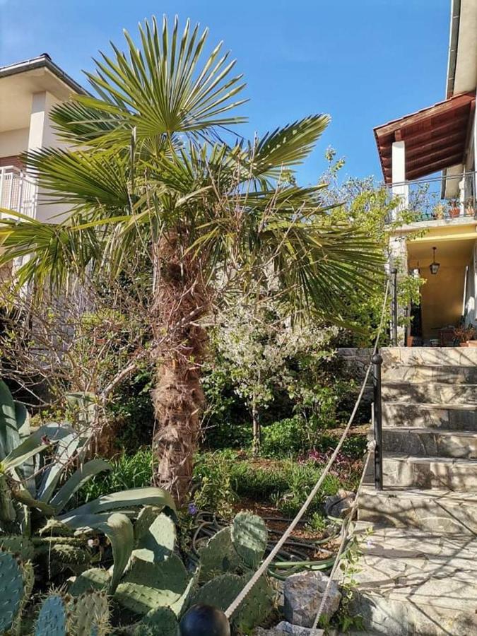 Guest House Sunce Нови-Винодолски Экстерьер фото